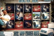 Dog Casher