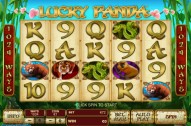Lucky Panda